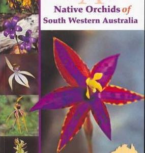 Guide to Native Orchids of South Western Australia, A