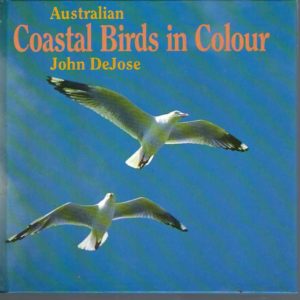 Australian Coastal Birds In Colour