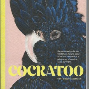 Cockatoo