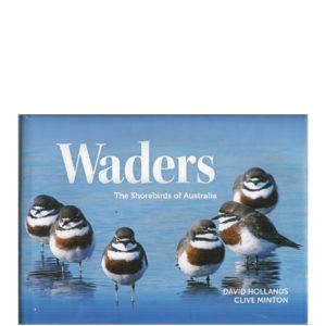 Waders: The Shorebirds of Australia