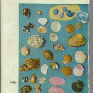 Australian Sea Shells : An introduction for young biologists and collectors