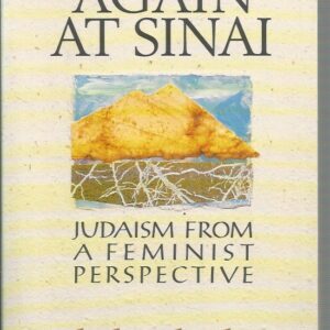 Standing Again at Sinai: Judaism from a Feminist Perspective