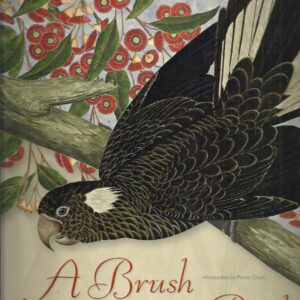 Brush with Birds, A: Australian Bird Art from the National Library of Australia