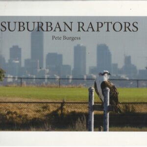 Suburban Raptors