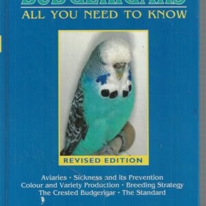 Budgerigars: All You Need to Know