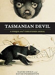 Tasmanian Devil: A unique and threatened animal