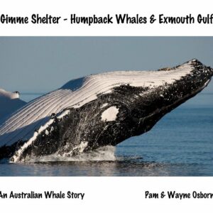 Gimme Shelter – Humpback Whales & Exmouth Gulf: An Australian Whale Story